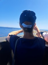 260728breizh584.jpg