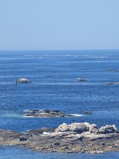 260728breizh597.jpg