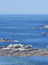 260728breizh598.jpg