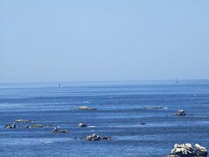 260728breizh606.jpg