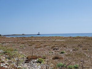 260728breizh625.jpg