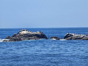 260728breizh639.jpg