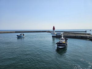 260729breizh706.jpg