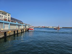 260729breizh715.jpg