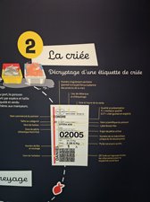 260729breizh740.jpg