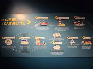 260729breizh741.jpg
