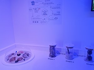 260729breizh742.jpg