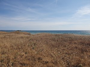 260731breizh888.jpg
