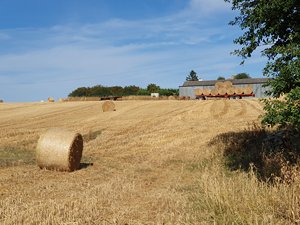 260731breizh892.jpg