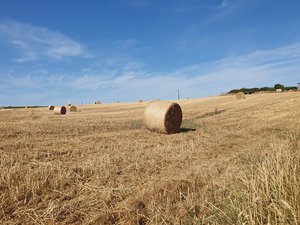 260731breizh895.jpg