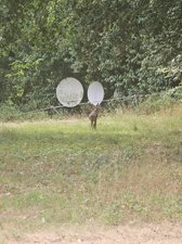 260731breizh900.jpg
