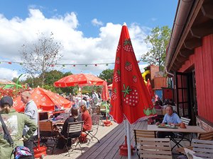260808_15bremen33.jpg