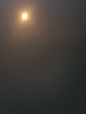 260808_15bremen59.jpg