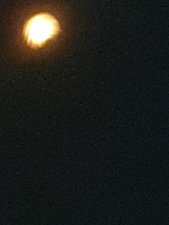 260808_15bremen61.jpg
