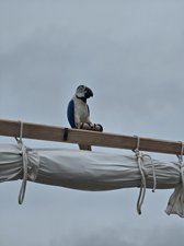 260829amboise034.jpg