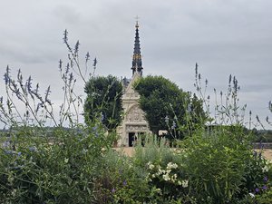 260829amboise041.jpg