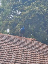 260829amboise205.jpg