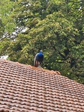 260829amboise207.jpg