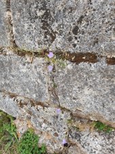 260919patrimoine22.jpg