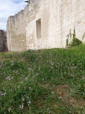 260919patrimoine24.jpg