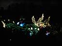 045IMG_0658.jpg