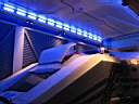 088IMG_0708.jpg
