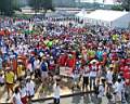lemans06GG_4266.jpg
