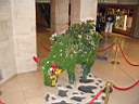 vachart2006_4529.jpg