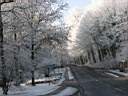 xmas2007_017.jpg