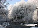 xmas2007_018.jpg