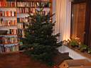 xmas2007_069.jpg