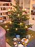 xmas2007_110.jpg