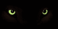 cateyes.gif
